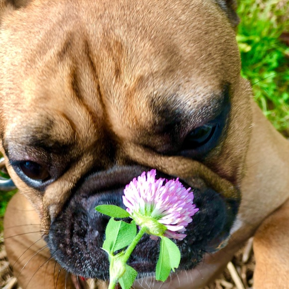 Meet your Posher, Tracy - Picture 11 of 15